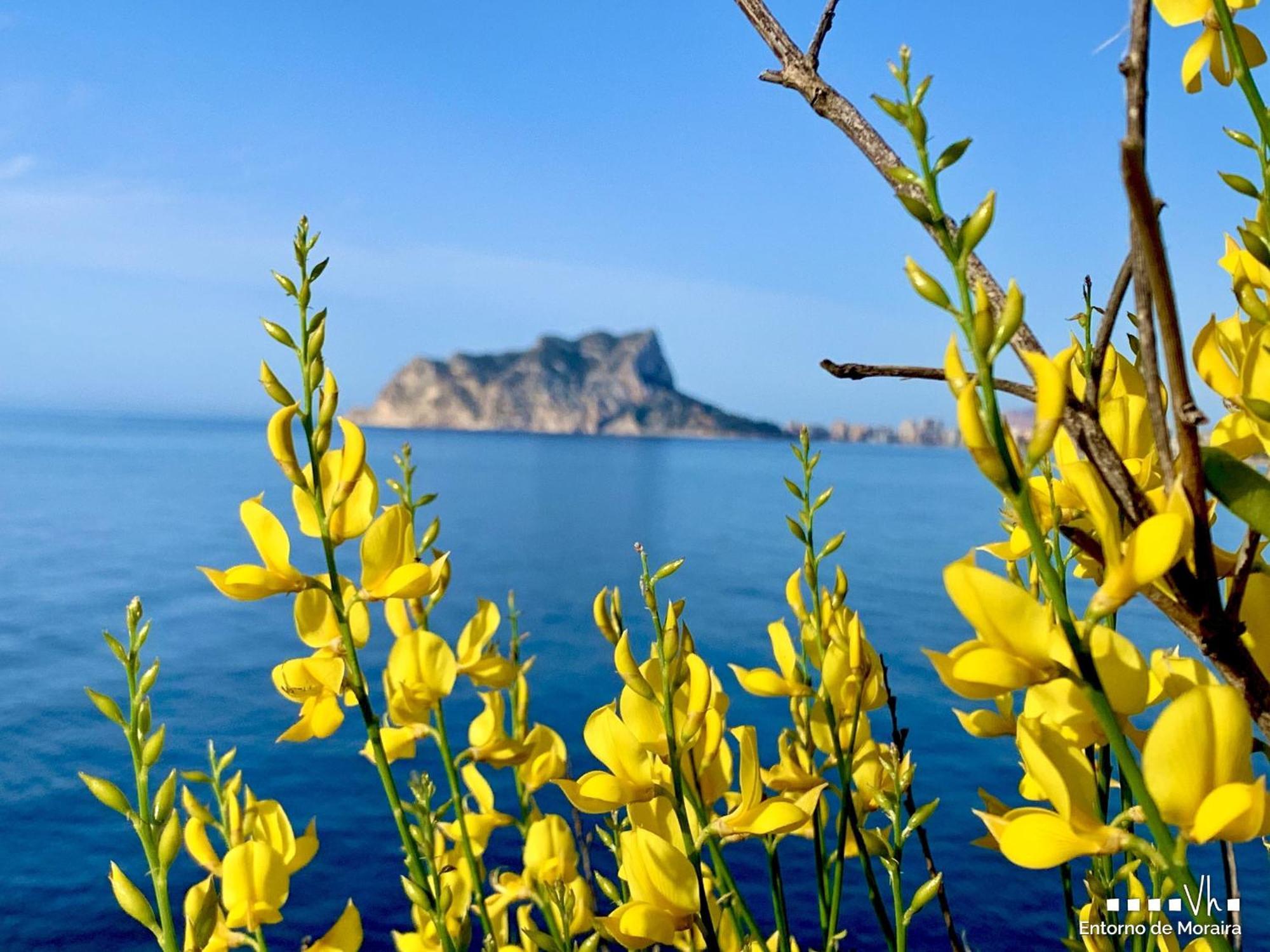 Вілла Vh Costablanca - Hope Морайра Екстер'єр фото